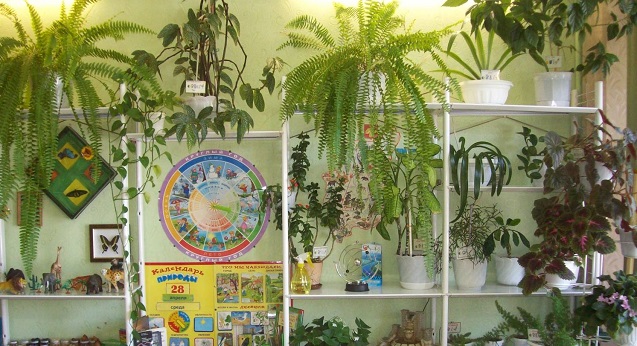 В детских садах Тверской области появятся экологические уголки 